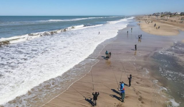 pinamar pesca