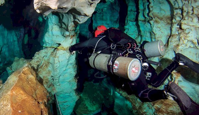 BUCEO