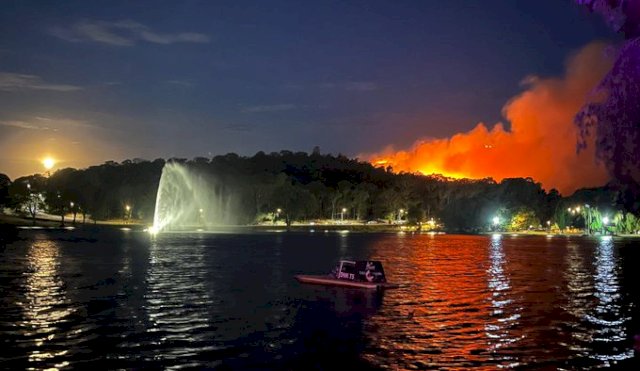 INCENDIOTANDIL
