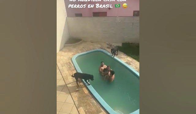 BRASIL