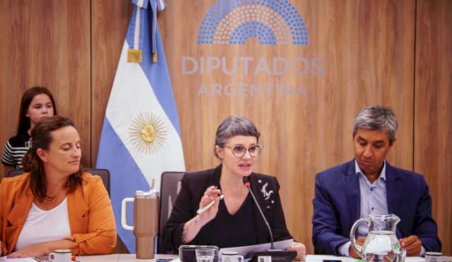 diputados